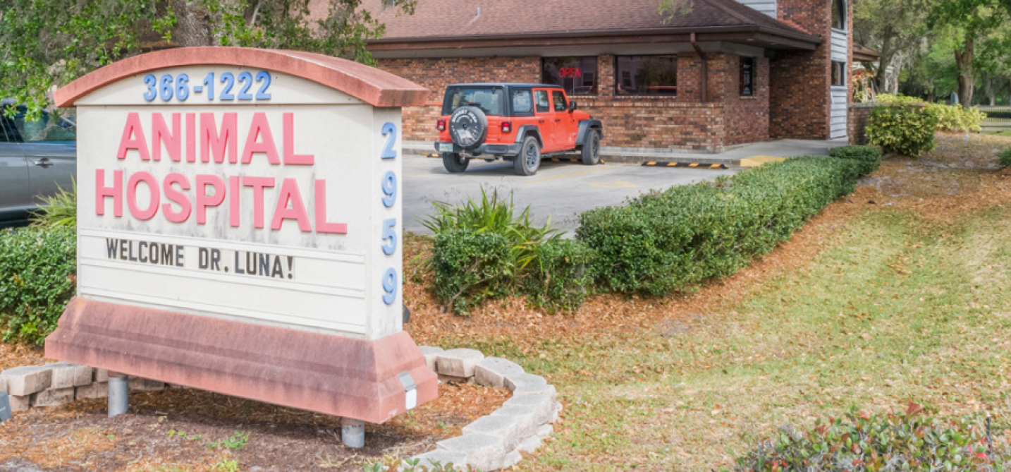 The veterinary market is one of the largest growing industries