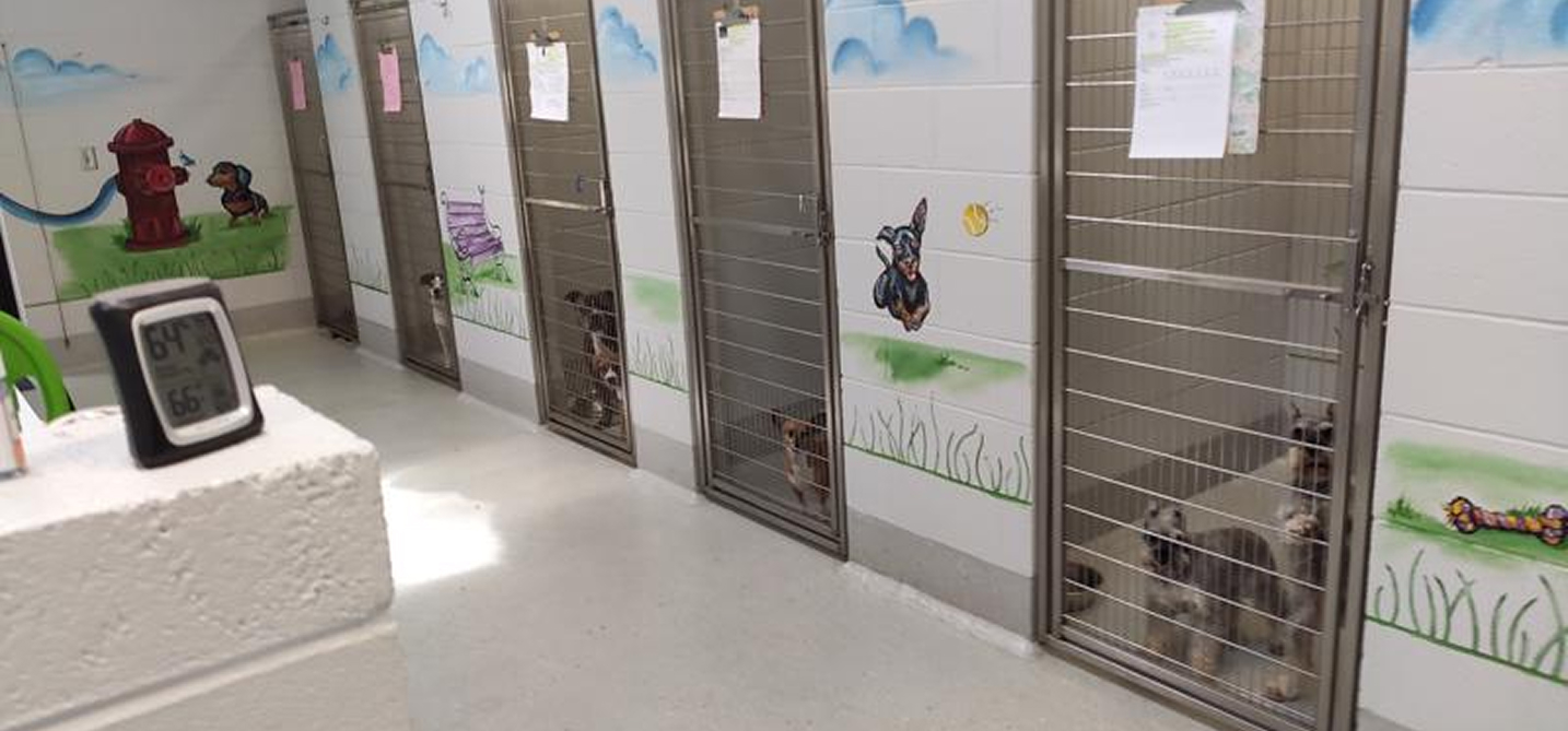 This location is surrounded by national retailers like Walmart,