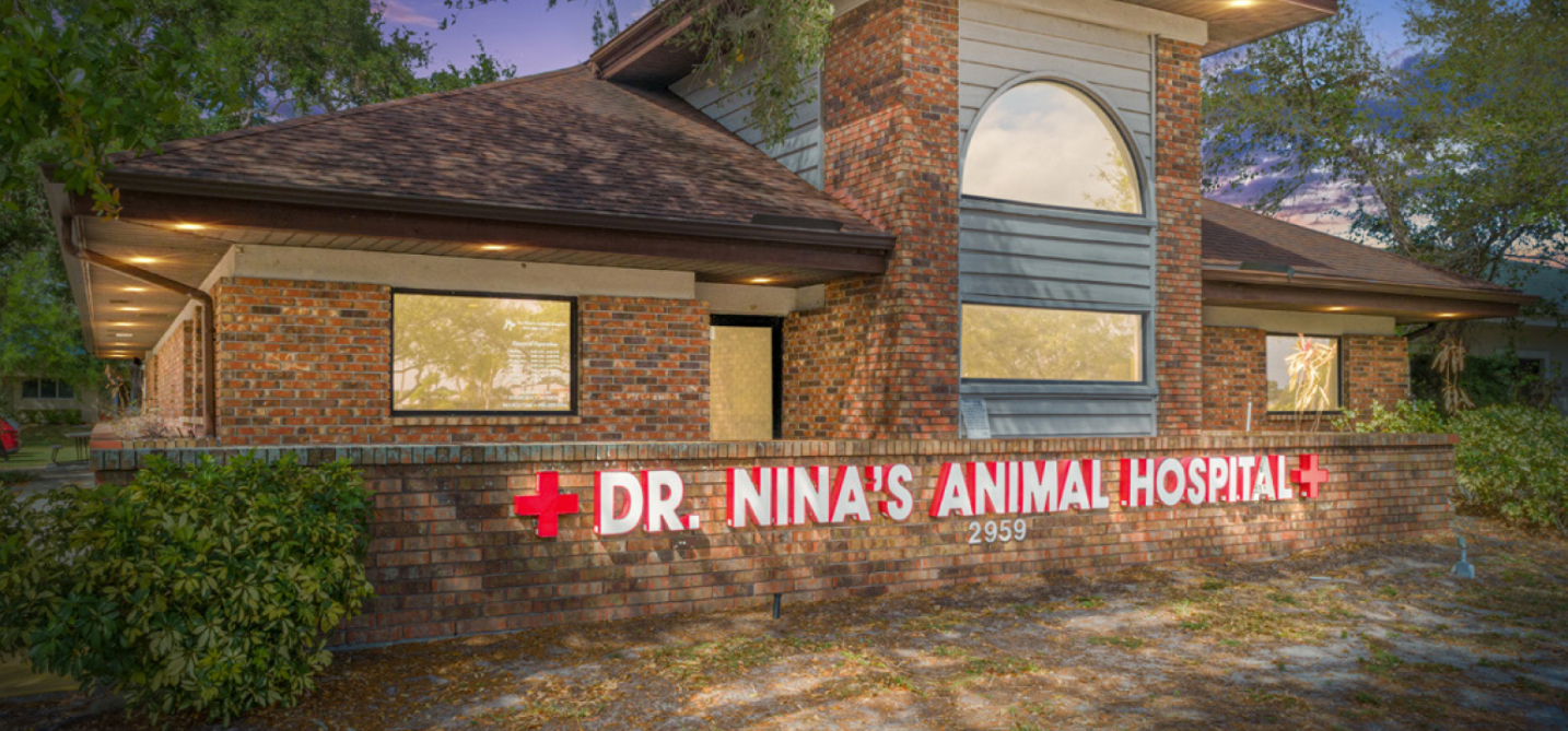 This well-situated veterinary hospital  is surrounded by medical facilities.